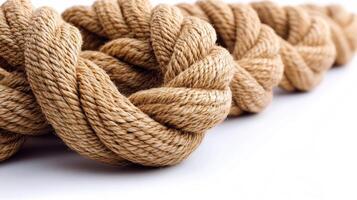 Natural fibers are intricately twisted together to form a durable, artistic rope photo