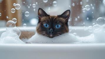 A fluffy cat relaxes in a tub filled with bubbles, happily enjoying bath time photo