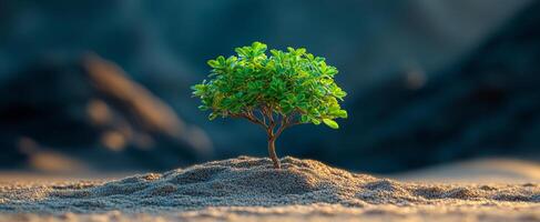 A small tree is growing on a rocky hillside. Concept of resilience and hope, as the tree is able to thrive in a harsh environment. The contrast between the small tree photo