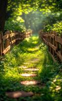 A path through a forest with a wooden fence on either side. The path is lined with grass and there are trees in the background photo