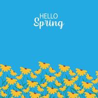 Hello spring and sunflower background vector