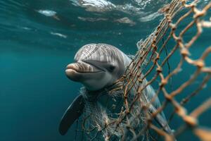 A dolphin is caught in a fishing net beneath the ocean surface, highlighting the dangers of marine pollution to sea creatures photo