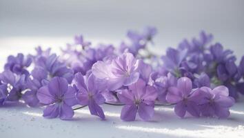 A bunch of purple flowers arranged on a clean white surfaceA bunch of purple flowers arranged on a clean white surface. photo