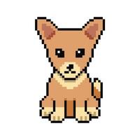 Pixel art smiling dog in retro style vector