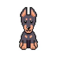 Pixel art cute doberman dog in retro style vector
