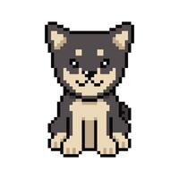 Pixel art cute shiba inu dog in retro style vector