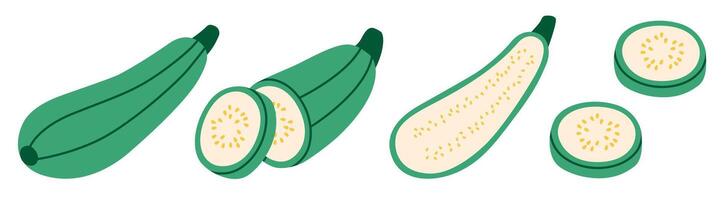 Flat style illustration of zucchini showing whole, halved, and sliced views, ideal for healthy eating, cooking projects, and vegetable-inspired designs. vector