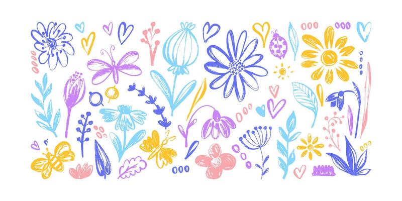 Colorful Grunge Ink Floral Banner with Cute Hand Drawn Herbs and Insects. Botanical design elements isolated on white background