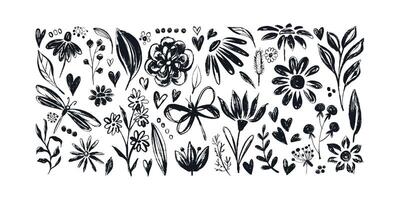 Grunge Ink Floral Banner with Cute Hand Drawn Herbs and Insects. Botanical design elements isolated on white background vector