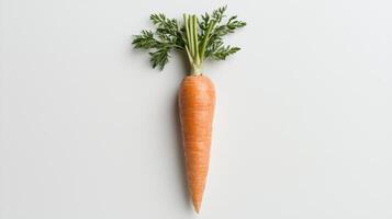 Single orange carrot with green leaves on white background photo