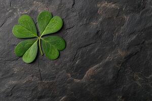 Close up of a four leaf clover on a dark stone background photo