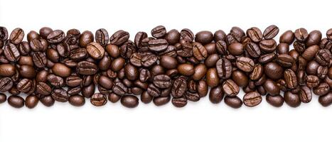 Close up of roasted coffee beans arranged in a row on a white background photo