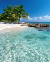 Secluded tropical beach with palm tree and crystal clear water photo