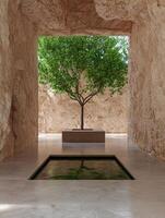 Minimalist courtyard with a tree and reflecting pool photo