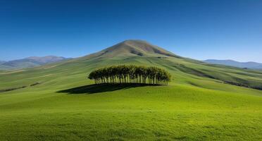 Rolling hills and a row of trees under a clear blue sky photo