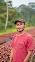 Indonesian Cacao Farmer Drying Fermented Cocoa Beans Outdoors in Rural Plantation Setting with Lush Greenery Background photo