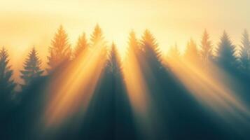 Sunbeams Illuminating Mystical Foggy Forest with Soft Light and Shadow Play in Tranquil Woodland, Capturing Serene Natural Beauty and Tranquility at Sunrise or Sunset in Majestic Nature Scene photo