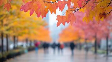 Autumn Market Walk With Vibrant Fall Foliage, Street Scene Captured in AR 169 Style, Emphasizing Warm Colors and Seasonal Atmosphere, Featuring Blurred Background for Personal Creativity photo