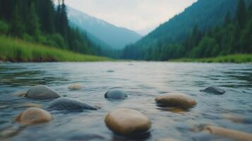 Mountain River Flowing between Rocky Shores in Carpathian Landscape with Forests and Distant Hills Captured in Tranquil Light for Nature Photography and Outdoor Enthusiasts Seeking Adventure photo