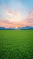 Sunset Over Verdant Meadow With Vibrant Sky And Rolling Hills In AR 916 Style Photography Showcasing Tranquil Nature Scene Perfect For Landscape Art And Personal Use photo