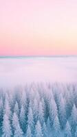 Majestic Winter Landscape of Sallatunturi's Snow-Covered Slopes and Frosty Pine Trees at Sunset with Soft Pastel Sky and Fog Creating a Dreamlike Scenic View Ideal for Tranquil Stock Photography photo
