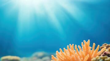 Vibrant Underwater Coral Reef Scene with Marine Life in Sunlit Ocean, Colorful Ecosystem Displaying Biodiversity, Featuring Bright Coral with Sun Rays Through Clear Blue Water, Peaceful Seascape photo