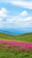 Scenic View of Balkan Mountains and Pink Wildflowers Under a Clear Summer Sky with Rolling Hills and Clouds Capturing the Tranquil Beauty of Nature and Mountain Landscape Photography photo