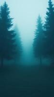 Mystical Forest Path Shrouded in Dense Fog with Tall Pine Trees Creating Eerie Atmosphere Perfect for Spooky Themes and Nature Retreats photo
