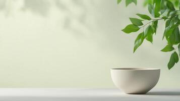 Tranquil Minimalist Setting with Ceramic Bowl and Green Branches Complementing Soft Green Background, Ideal for Balanced Meal or Zen Lifestyle Concepts, Emphasizing Simplicity and Harmony photo