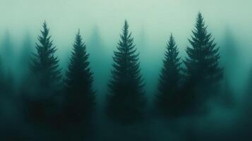 Mystical Foggy Forest Pathway with Eerie Atmosphere and Tall Dark Trees Perfect for Halloween or Fantasy Themes photo