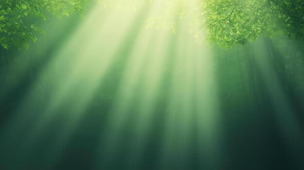 Sunlight Streaming Through Leaves Creating a Magical Forest Atmosphere with Greenery and Serenity Ideal for Nature and Tranquility Themes photo