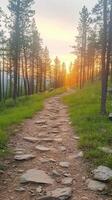 Majestic Forest Trail with Sun Rays Penetrating Through Tall Trees in Serene Landscape at Sunrise Offering Natural Beauty and Tranquil Atmosphere for Nature Lovers and Adventure Seekers photo