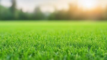 Lush Green Grass Texture Background in Soft Focus with Vibrant Manicured Lawn and Sunlight Bokeh Perfect for Outdoor Nature or Garden Design and Fresh Eco Landscapes and Botanic Projects photo
