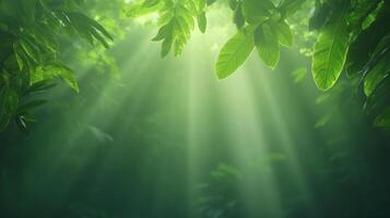 Sun Rays Filtering Through Dense Rainforest Canopy Illuminating Vibrant Greenery in Lush Tropical Jungle, Creating Ethereal and Serene Atmosphere with Soft Light and Abstract Foliage Patterns photo