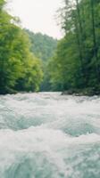 Serene River Flowing Through Lush Forest with Sunlight Streaming Through Trees in Vertical Shot for Nature Inspiration and Relaxation photo
