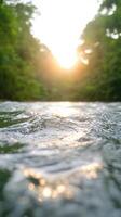 Tranquil Vertical View of Sunlit River with Rippling Waves Amidst Lush Green Forest, Capturing the Dramatic Interaction of Light and Water in Natures Serenity photo