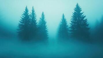Mystical Dark Foggy Forest Pathway with Tall Evergreen Trees and Dense Blue Mist Creating an Eerie Atmospheric Scene Perfect for Spooky Themes Enveloped in a Serene Enchanting Aura photo