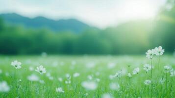 Blurred Meadow with Wildflowers Swaying in Gentle Breeze and Lush Green Background Capturing Serene Tranquility with Sunlight on Floral Landscape Perfect for Spring or Nature Themed Designs photo