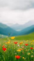 Vibrant Wildflowers In Serene Mountainous Landscape Featuring Poppies Under Cloudy Sky, Capturing Natural Beauty And Tranquility Of Springtime Bloom In Meadow With Rolling Hills And Distant Peaks photo