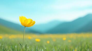 Yellow Wildflower Growing in Vibrant Mountain Landscape Under Clear Blue Sky with Soft Focus Effect in Springtime for Nature and Gardening Concepts photo