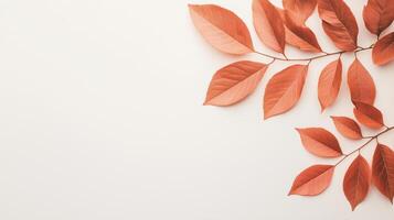 Natural Tree Leaves Casting Shadows on a White Wall Background, Minimalist Nature Concept with Autumn Colors for Seasonal Design and Interior Decoration, Emphasizing Simplicity and Warmth photo