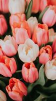 Peach, Orange, Pink, and White Tulips with Green Leaves in a Soft, Dreamy Style, Perfect for Spring Floral Decor and Wedding Invitations, Highlighting Gentle Beauty and Elegant Natural Arrangement photo