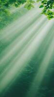 Sun Rays Shining Through Tree Leaves Creating Ethereal Forest Illumination in Nature Scene with 916 Style Vibe Emphasizing Abstract Light Patterns and Tranquil Greenery Elements photo