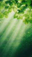 Sun Rays Shining Through Lush Tree Leaves in Green Forest, Atmospheric Nature Scene with Sunlight Beams, Vertical Orientation for Tranquil and Serene Designs, Emphasizing Natural Beauty photo