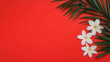 Vibrant Summer Background Featuring Tropical White Flowers and Palm Leaves on Bold Red Backdrop for Seasonal Design Concepts and Warm Weather Inspiration photo