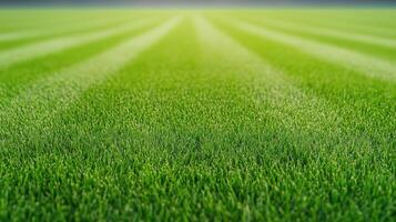 Green Grass Texture Background with Perfectly Manicured Surface Featuring Fresh Lawn for Natural Design Concepts in Summer Landscaping Projects and Outdoor Inspiration for Nature Enthusiasts photo