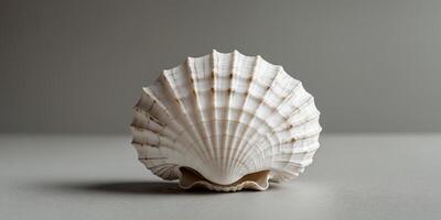 Cracked White Spherical Shell Object Rests on Gray Surface photo