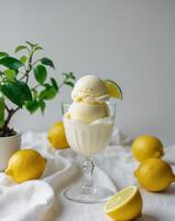 Glass of ice cream with a lime wedge in it is on a table with a few lemons and a potted plantGlass of ice cream with a lime wedge in it is on a table with a few lemons and a potted plant. photo