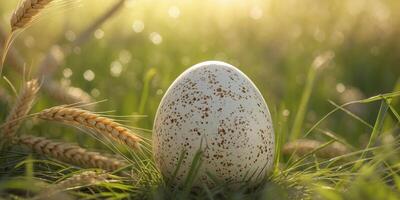 A speckled bird egg rests in a sunlit fieldA speckled bird egg rests in a sunlit field. photo