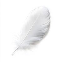 Elegant white feather resting on a soft surface in a minimalistic setting, capturing delicate details and natural beauty photo